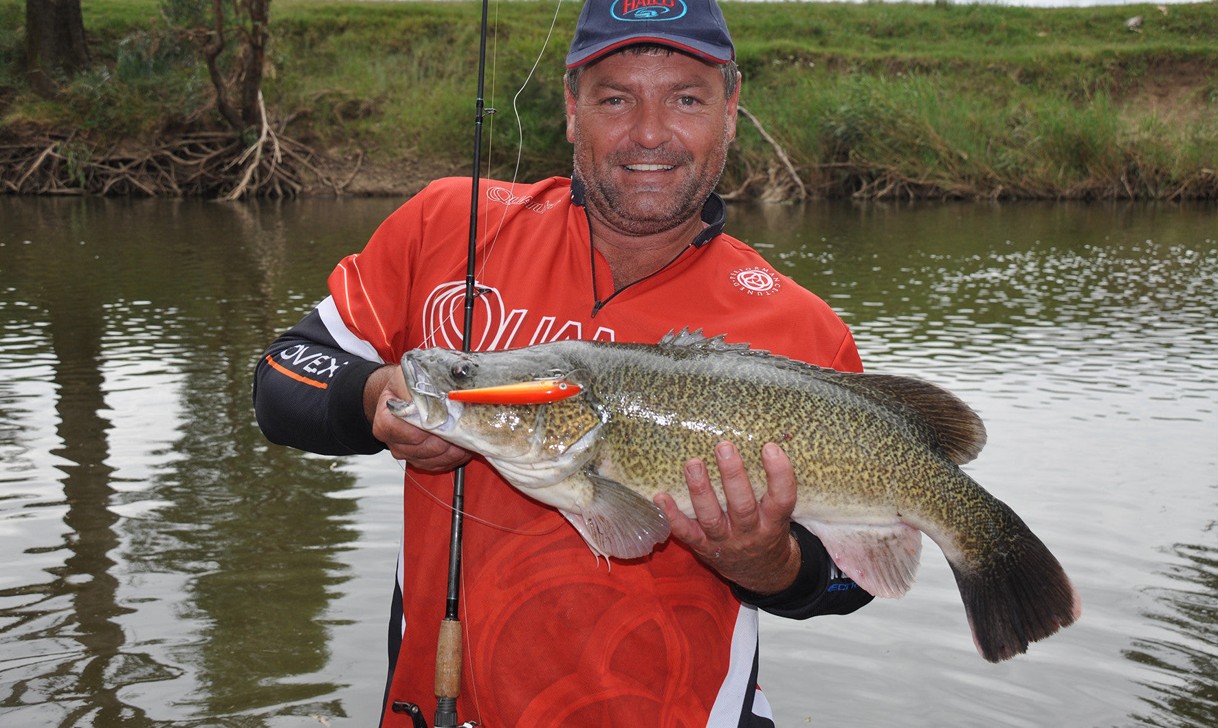 Murray Cod Fishing Guide – Halco Lures