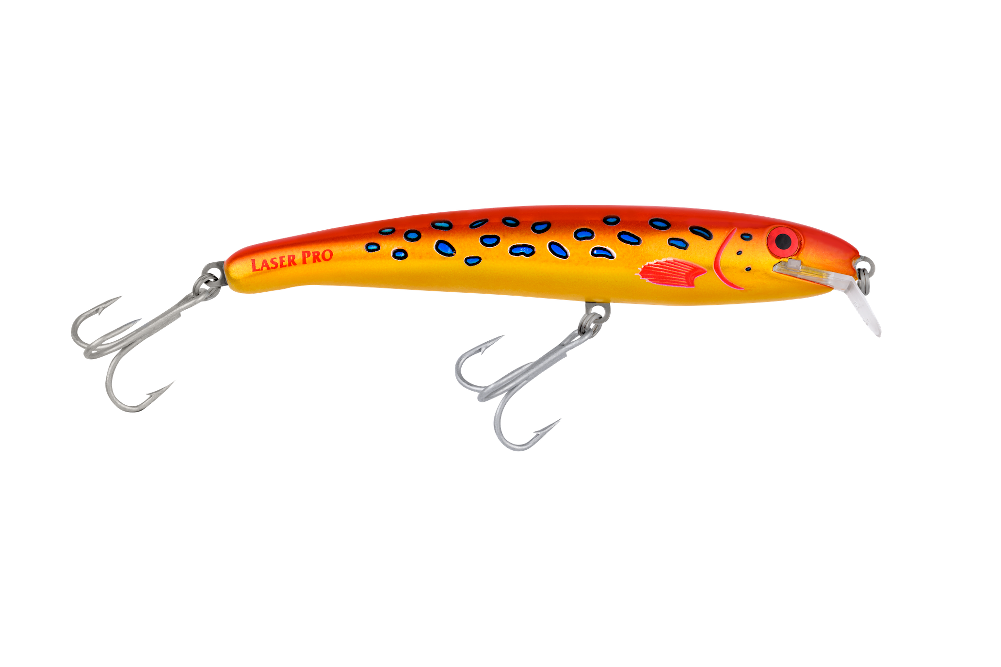 R9 Coral Trout