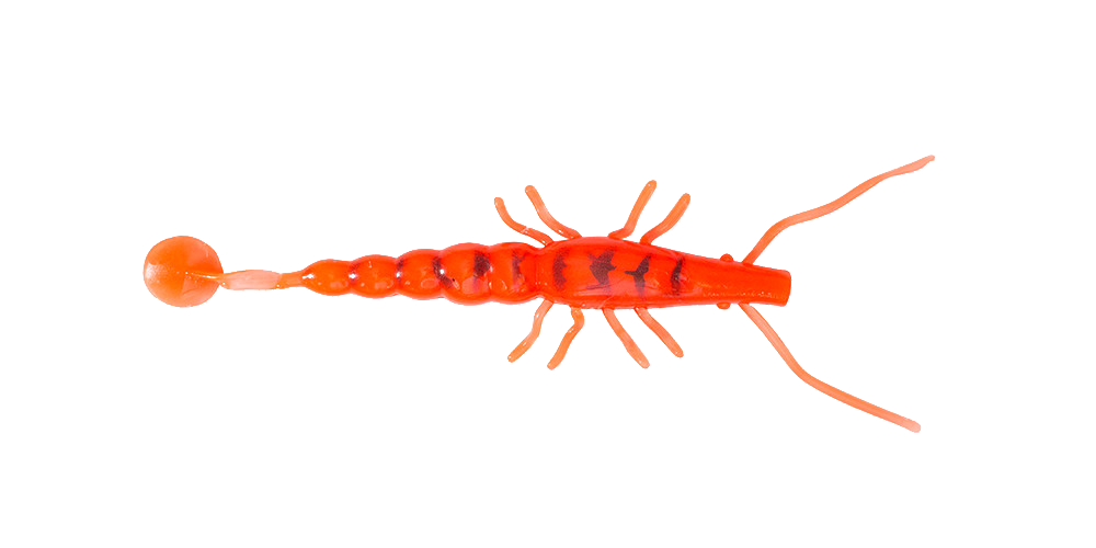 Paddle Prawn 5″