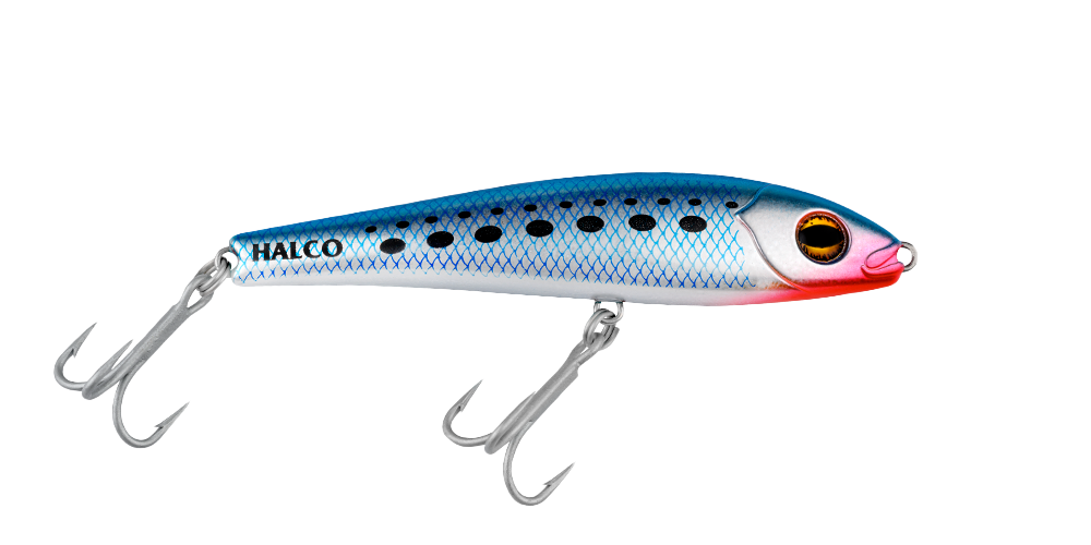 H50 Pilchard