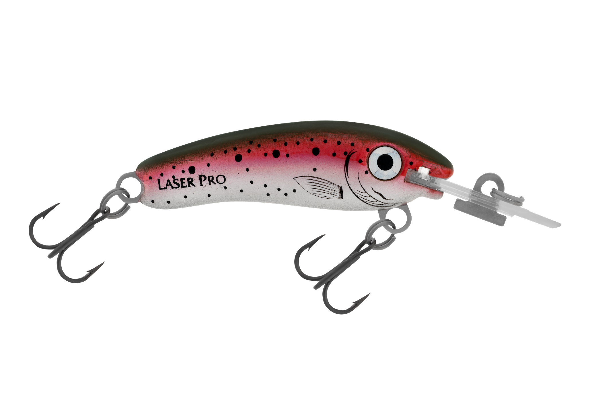 H60 Rainbow Trout