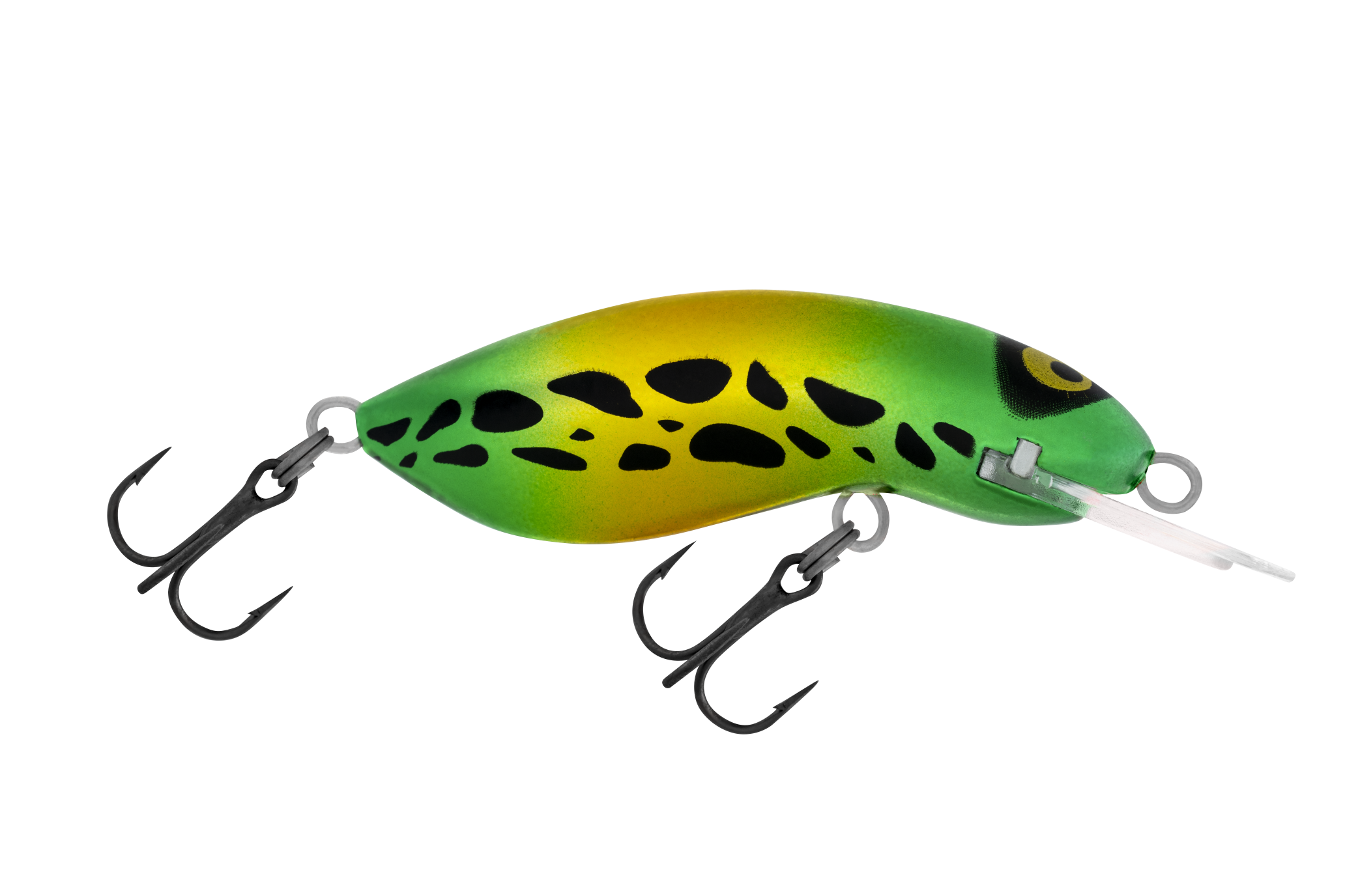 H66 Oz Frog