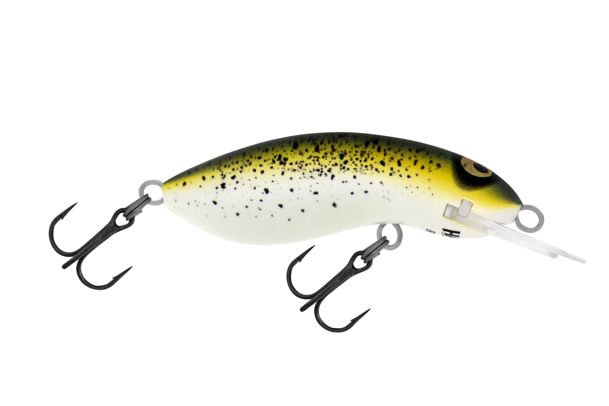 R17 Mustard Grunter