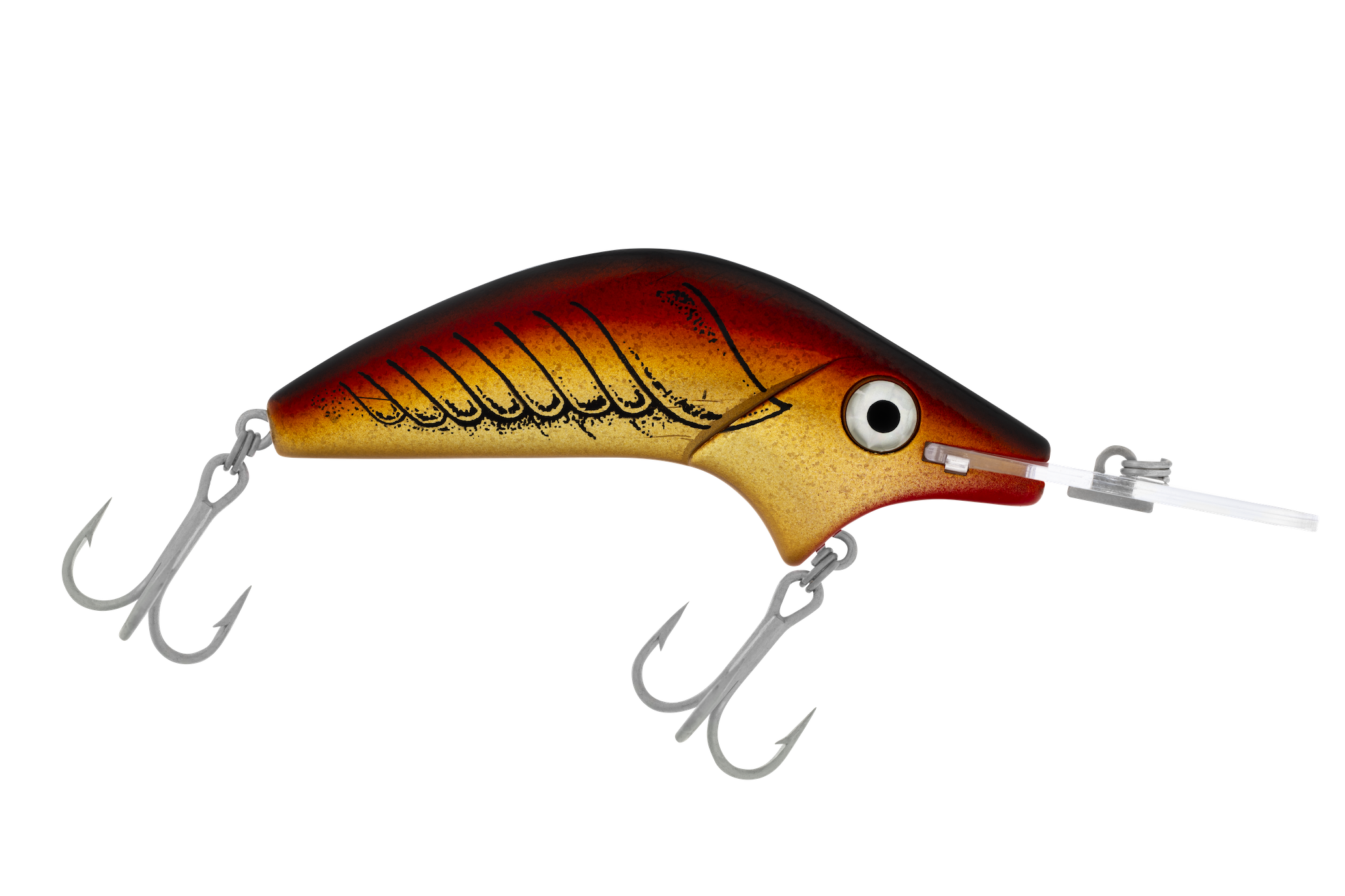 H61 Crawfish