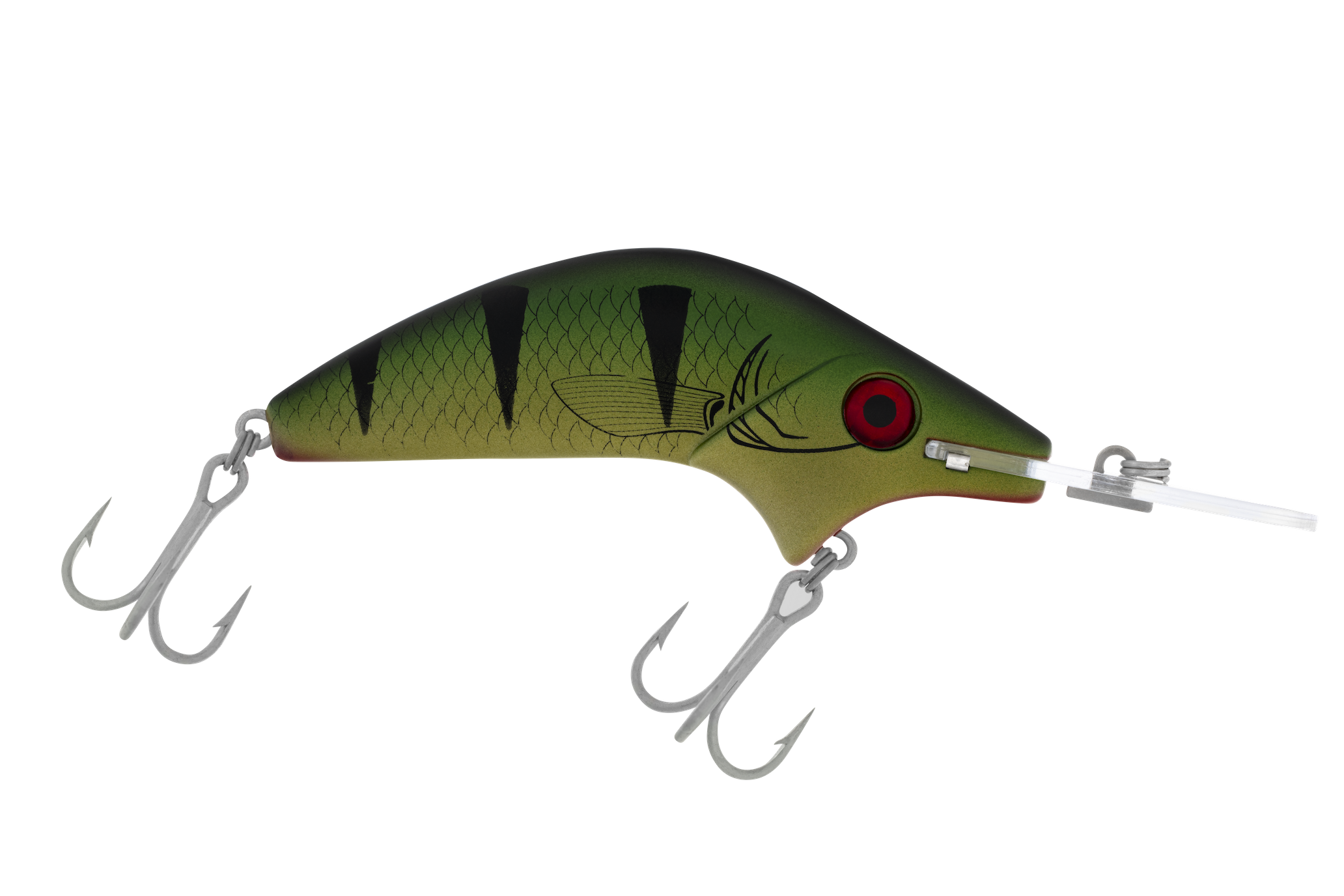 R16 Swamp Tiger