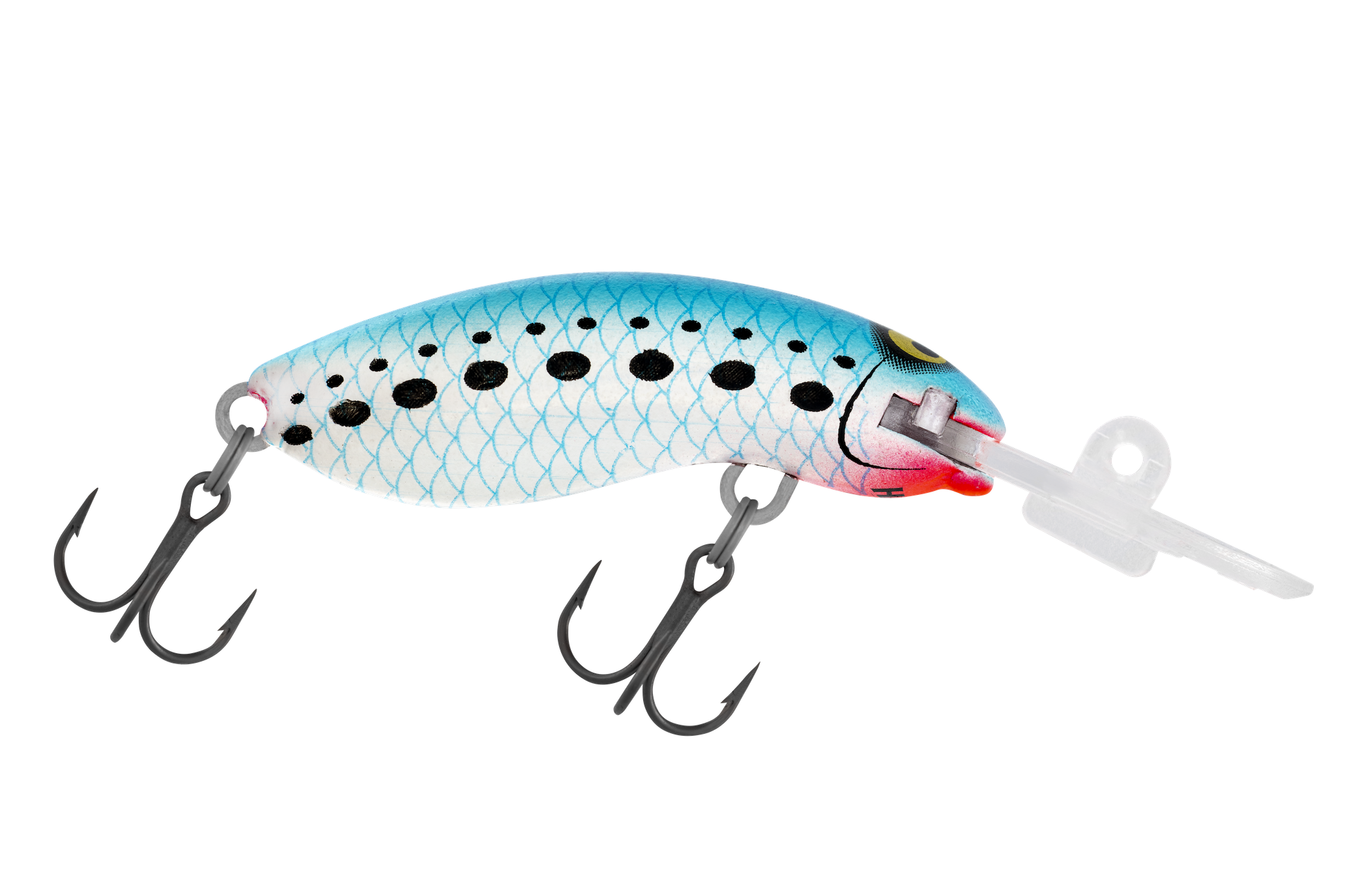 H50 Pilchard
