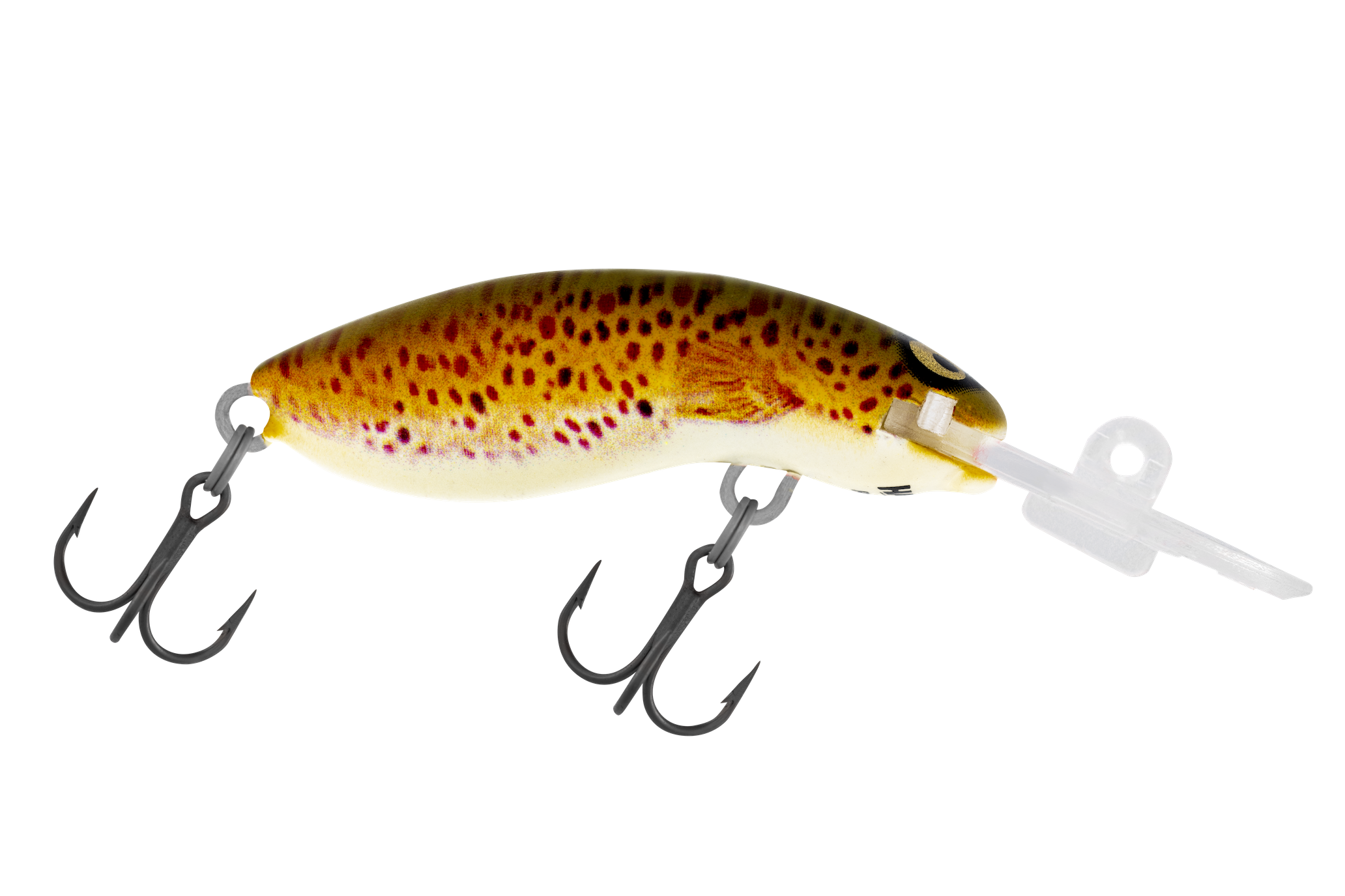 H59 Brown Trout