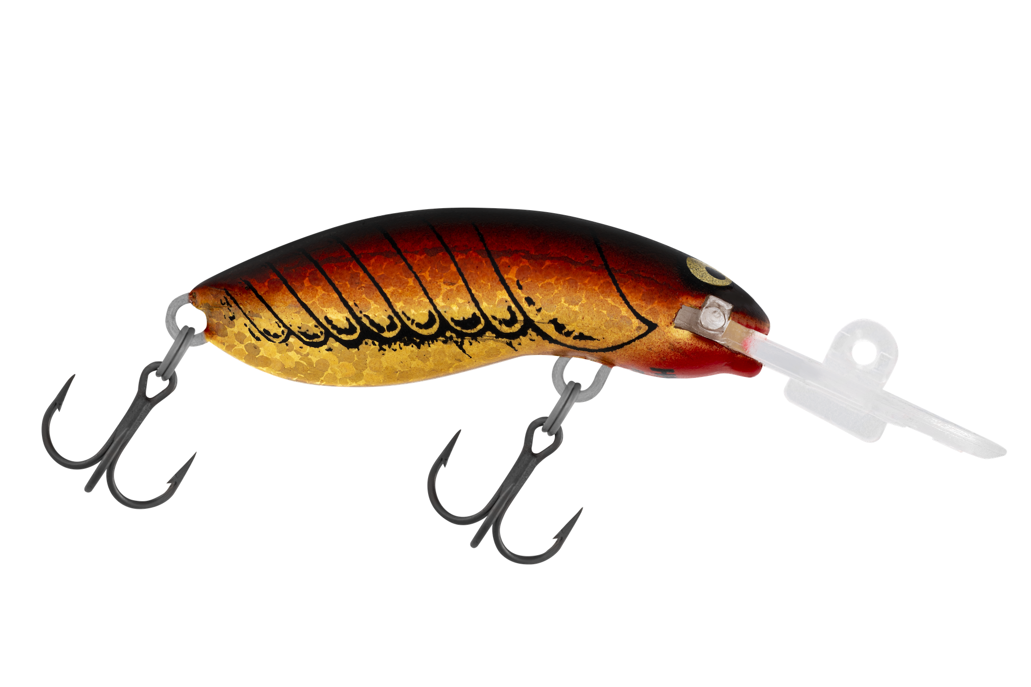 H61 Crawfish
