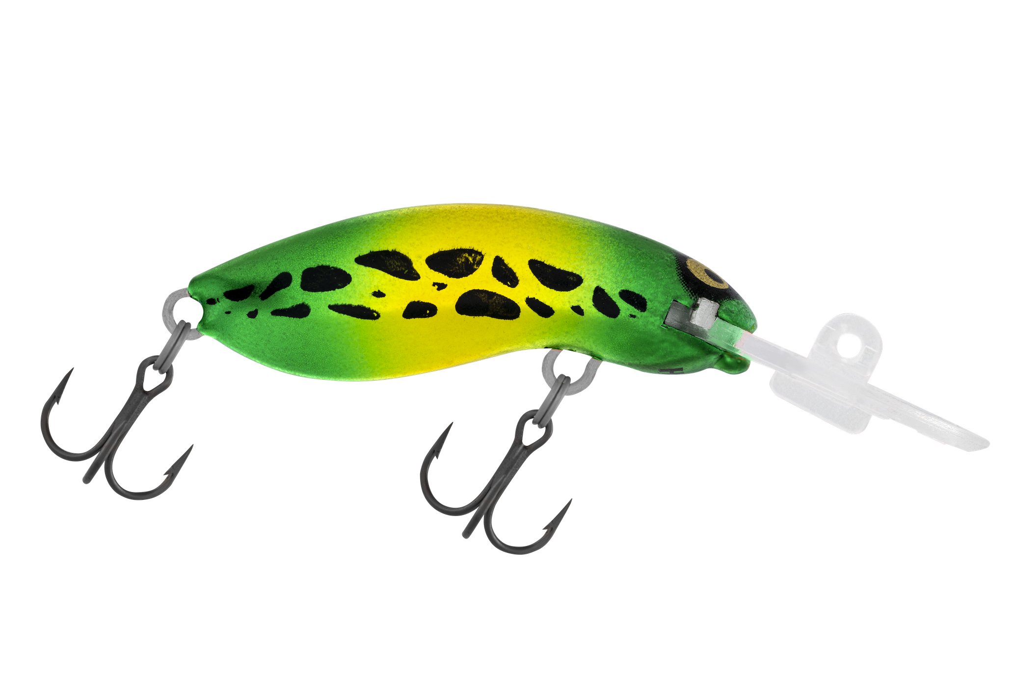 H66 Oz Frog