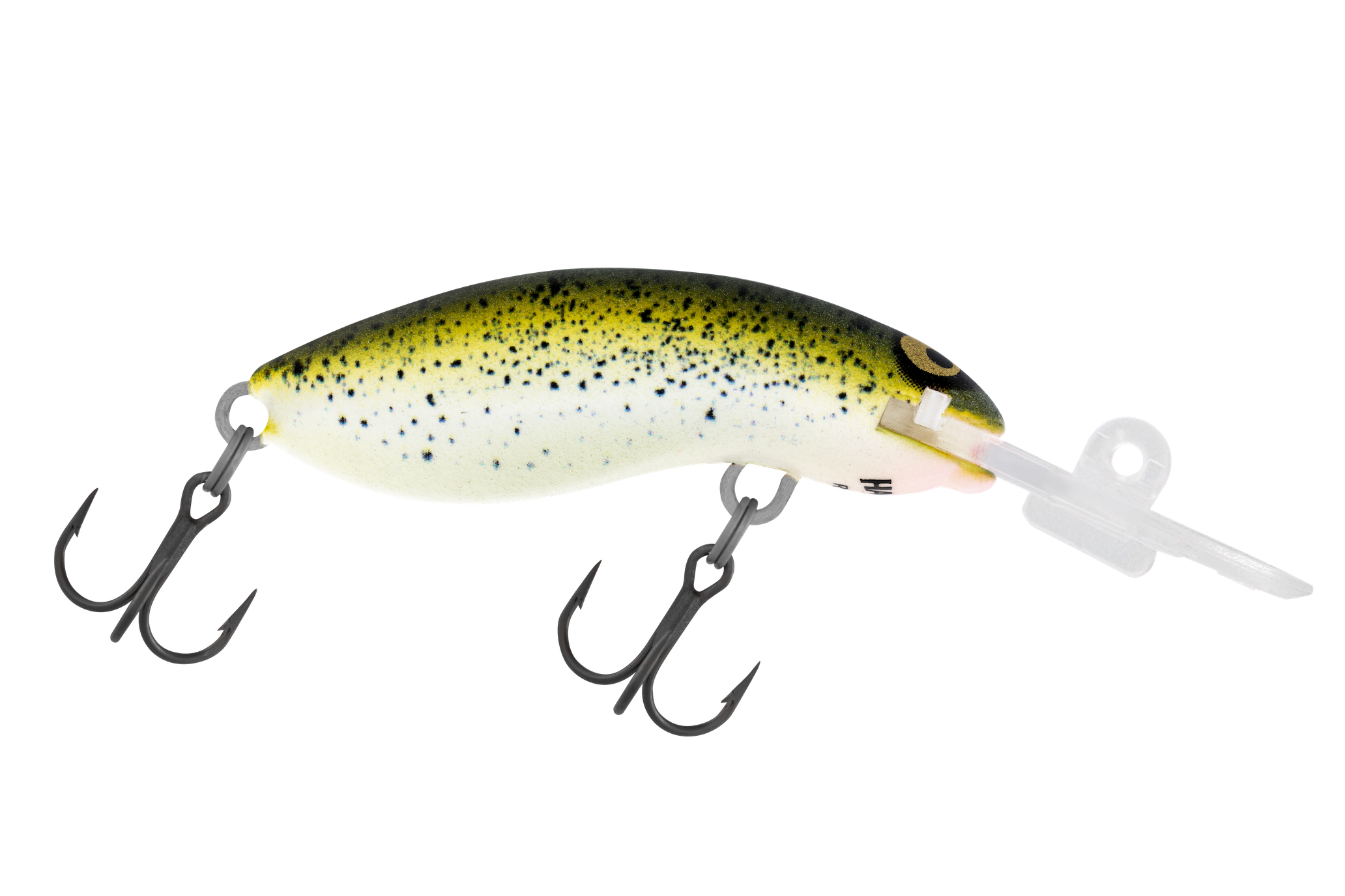 R17 Mustard Grunter