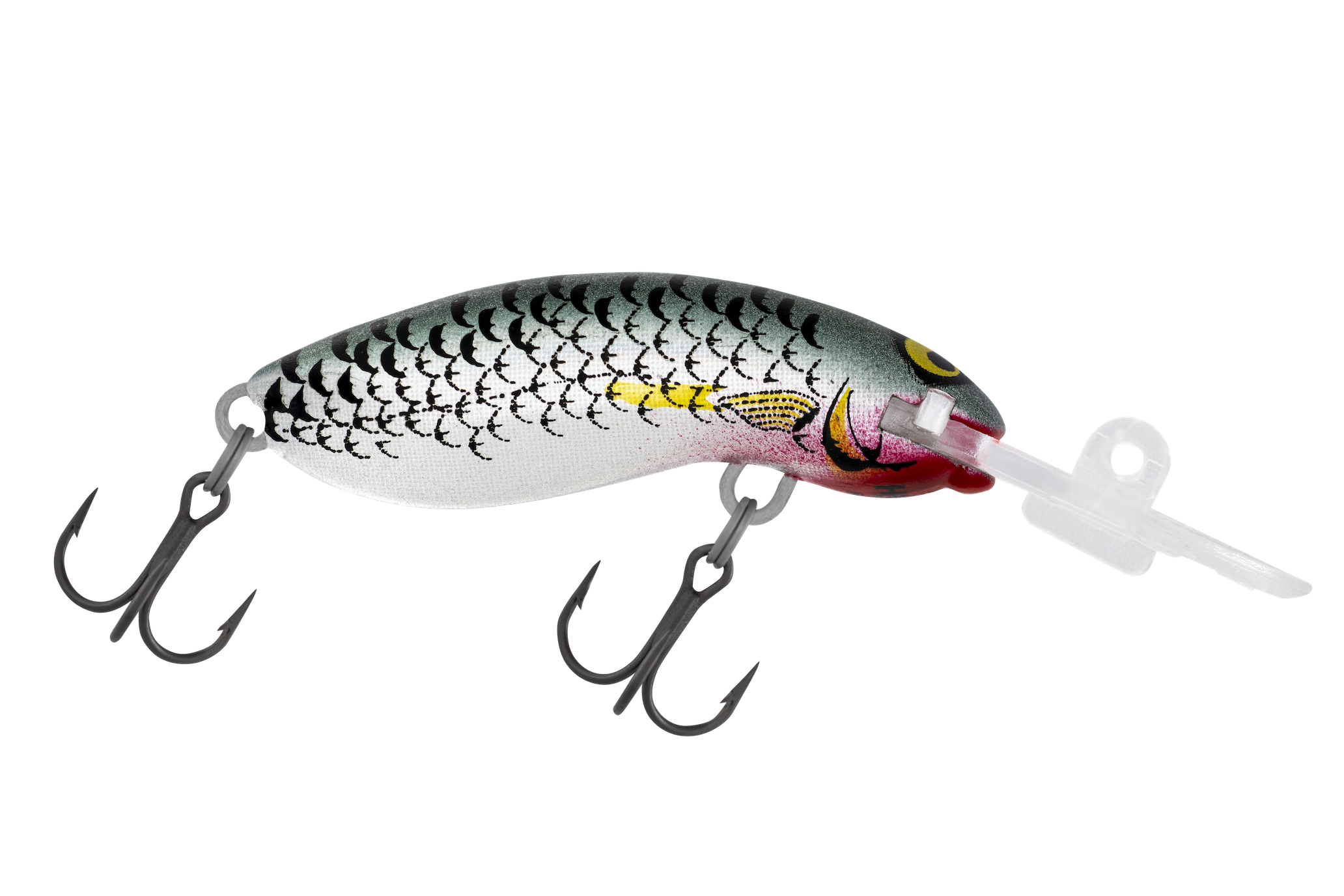 R25 Mullet