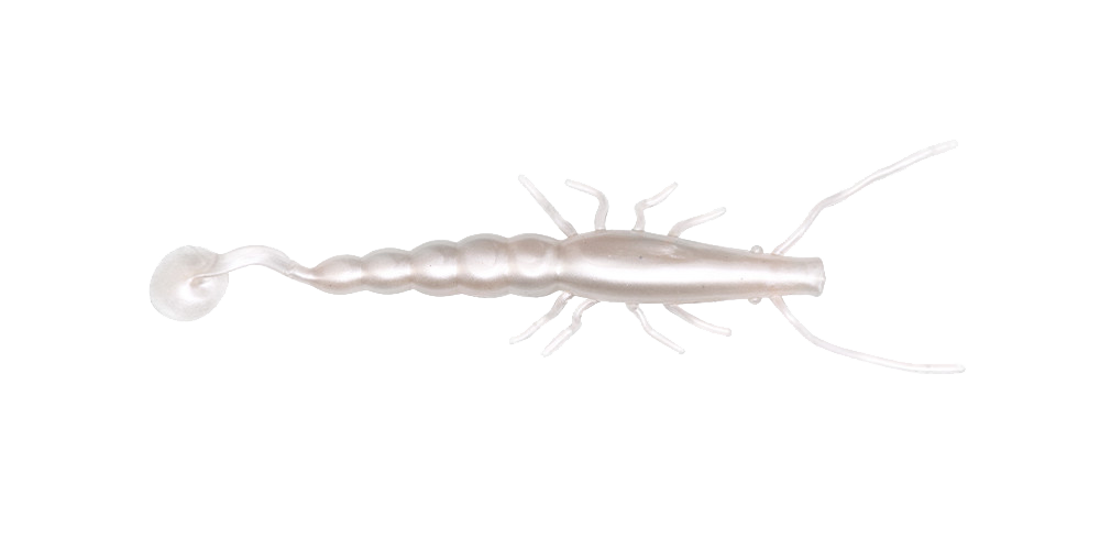 Paddle Prawn 4″
