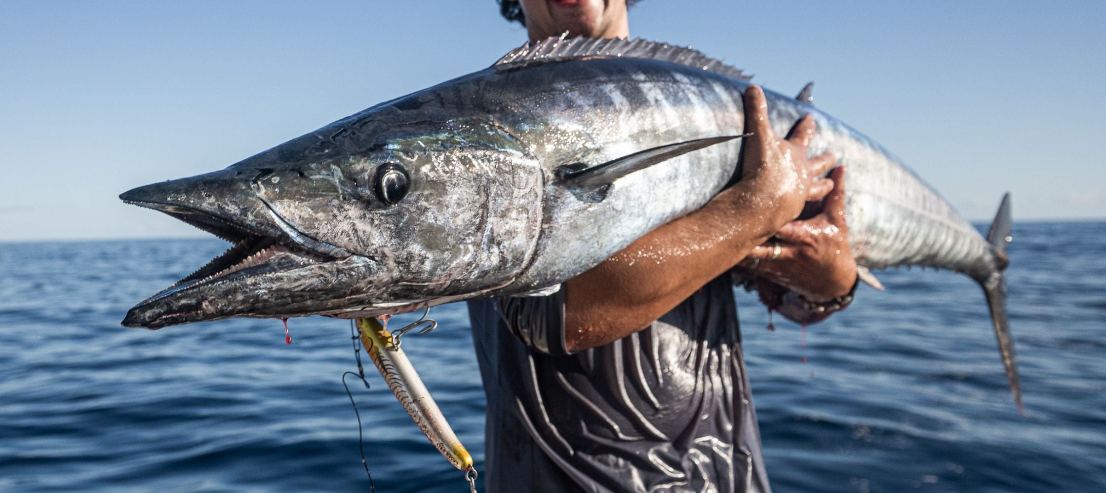 Offshore Angler’s Essential Gear Guide | Must-Have Halco Lures for Big ...