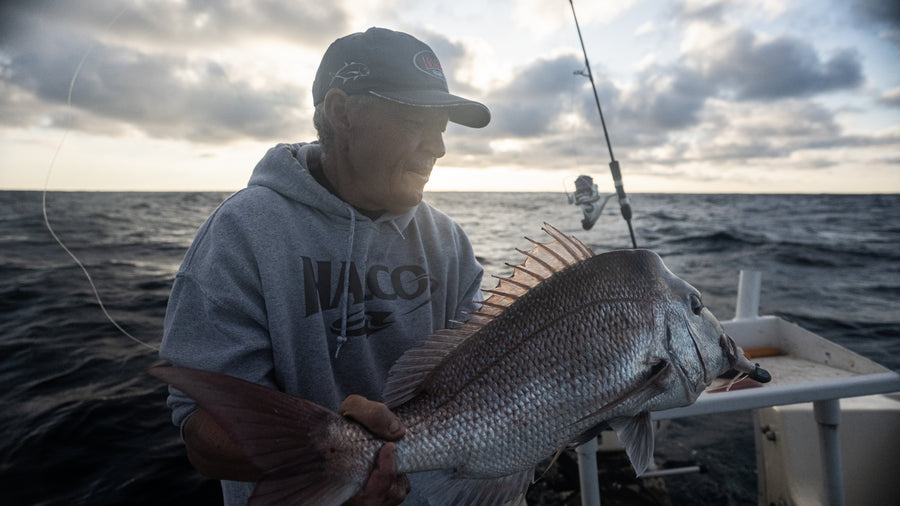 Snapper caught on a Halco lure