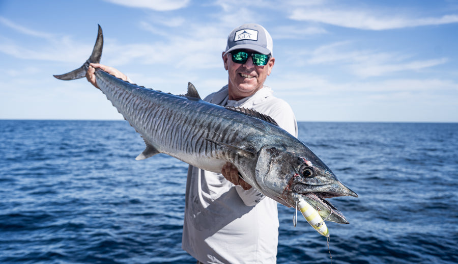 Mackerel caught on a Halco lure