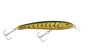 Laser Pro 160