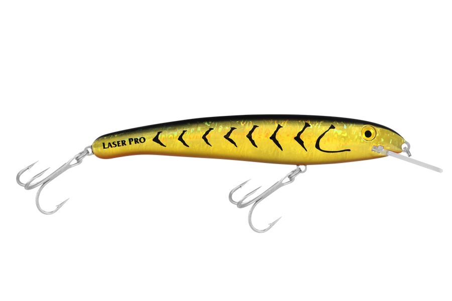 Laser Pro 190DD