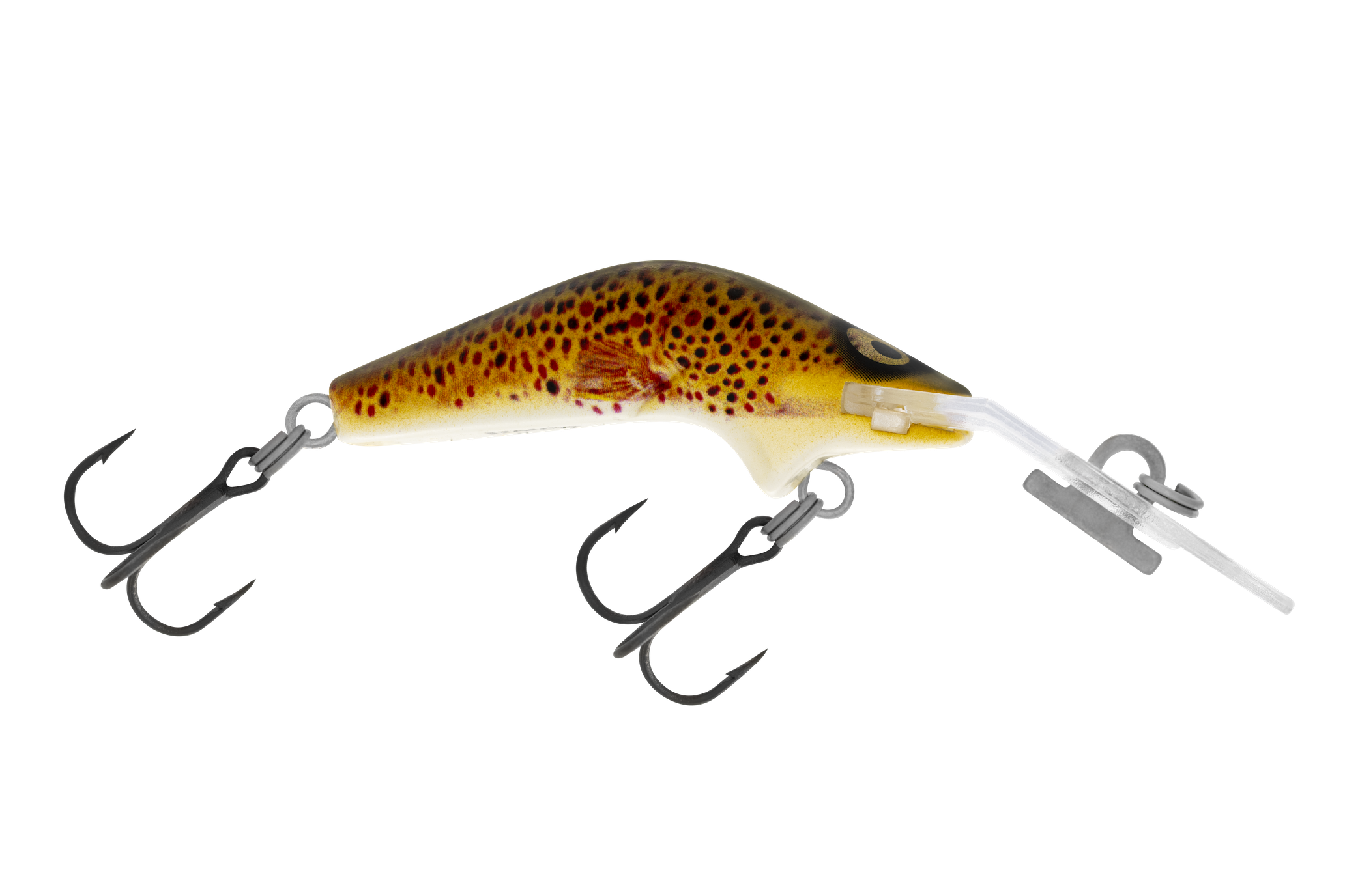H59 Brown Trout