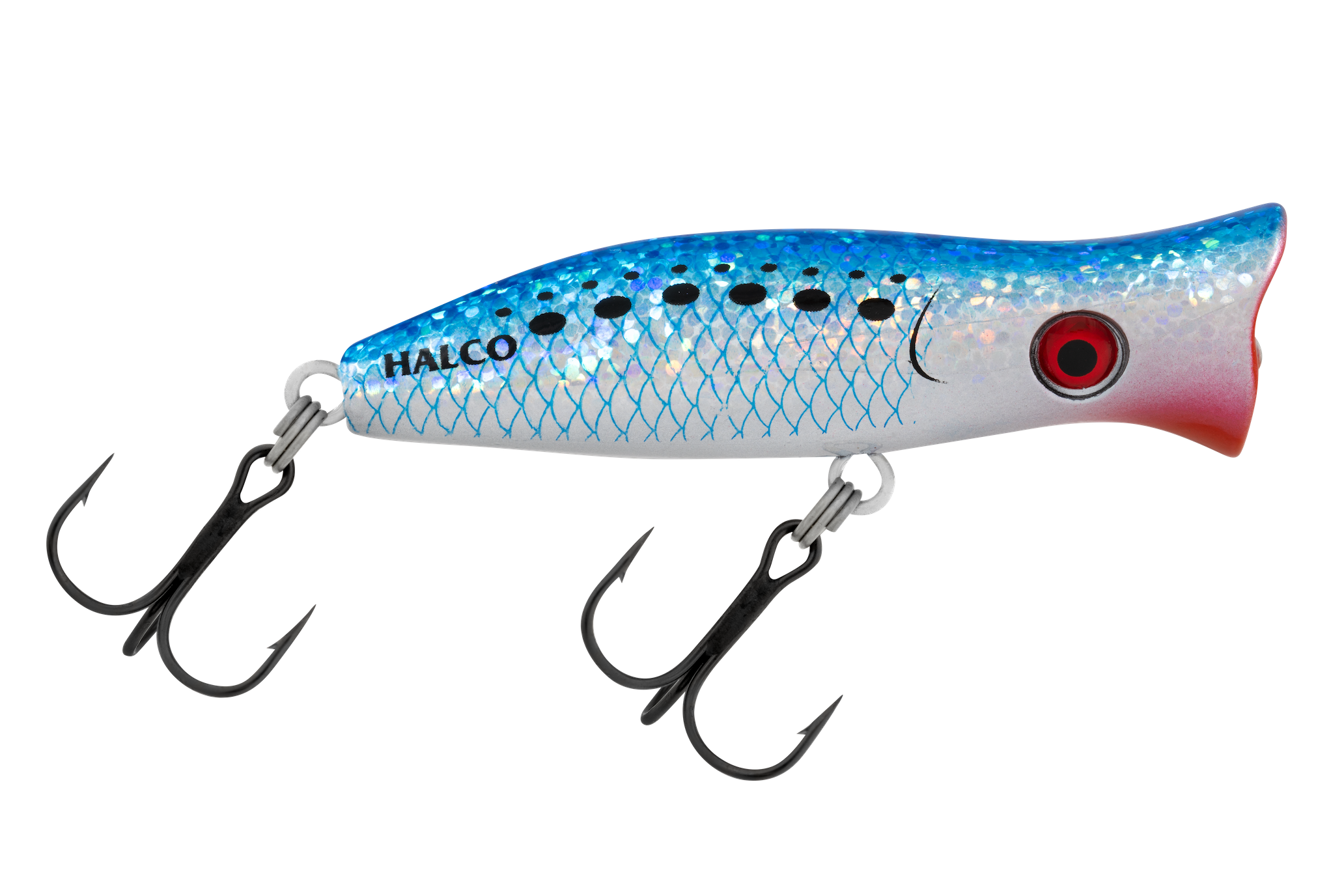H50 Pilchard