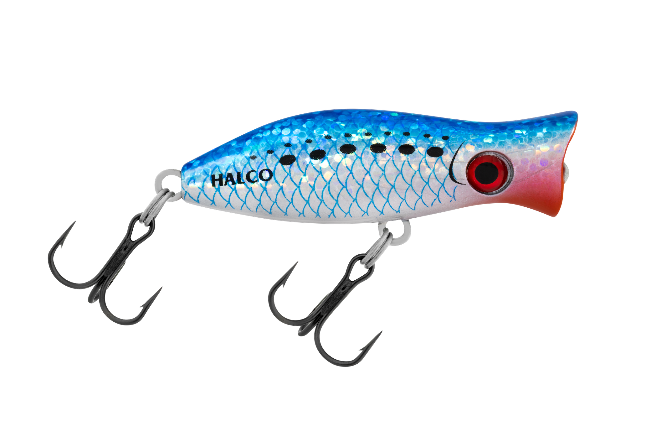 H50 Pilchard