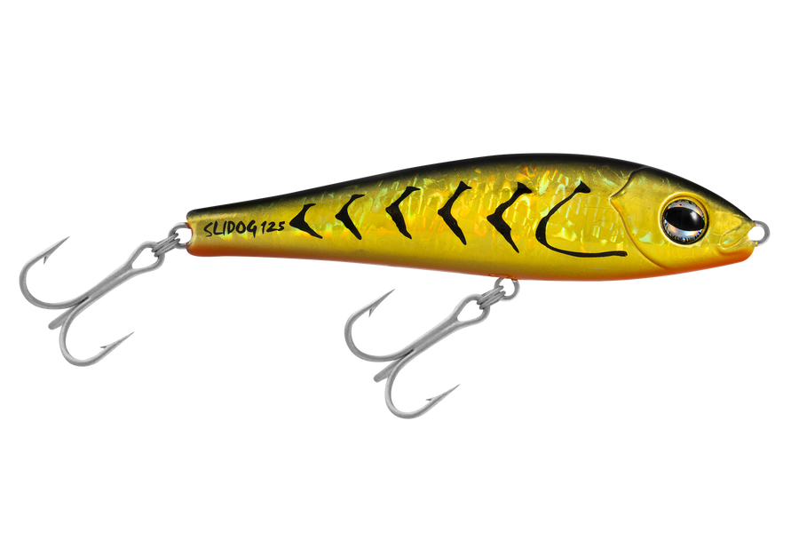 Slidog 125