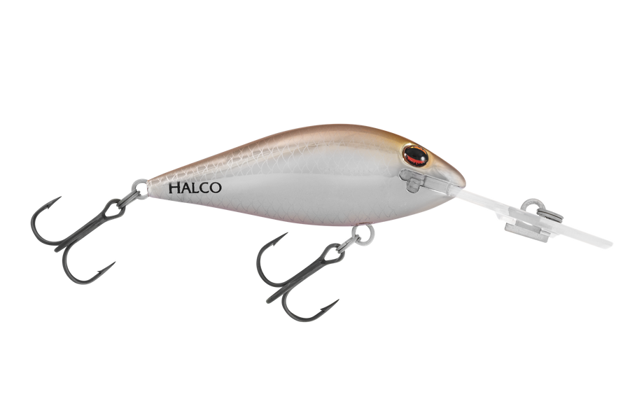 TB55
