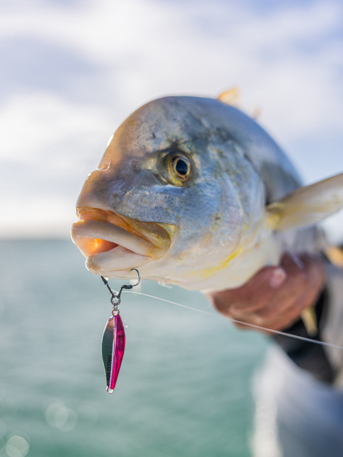 Trevally caught on a pink Karcass Micro jig