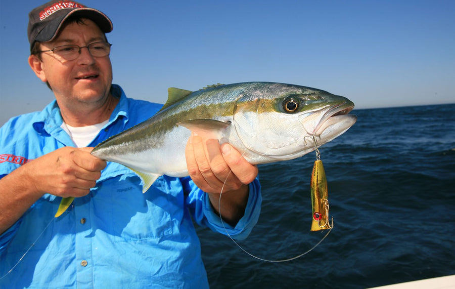 Kingfish caught on a Halco lure