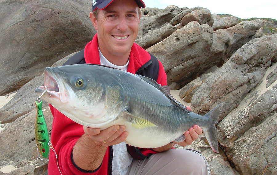 Salmon caught on a Halco lure