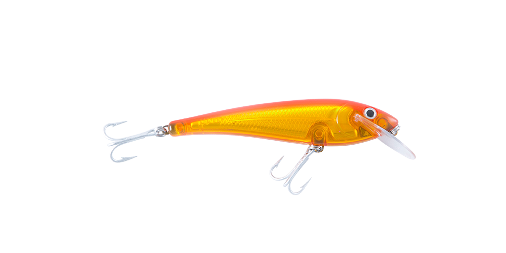 R41 Koi