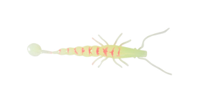 Paddle Prawn 5″