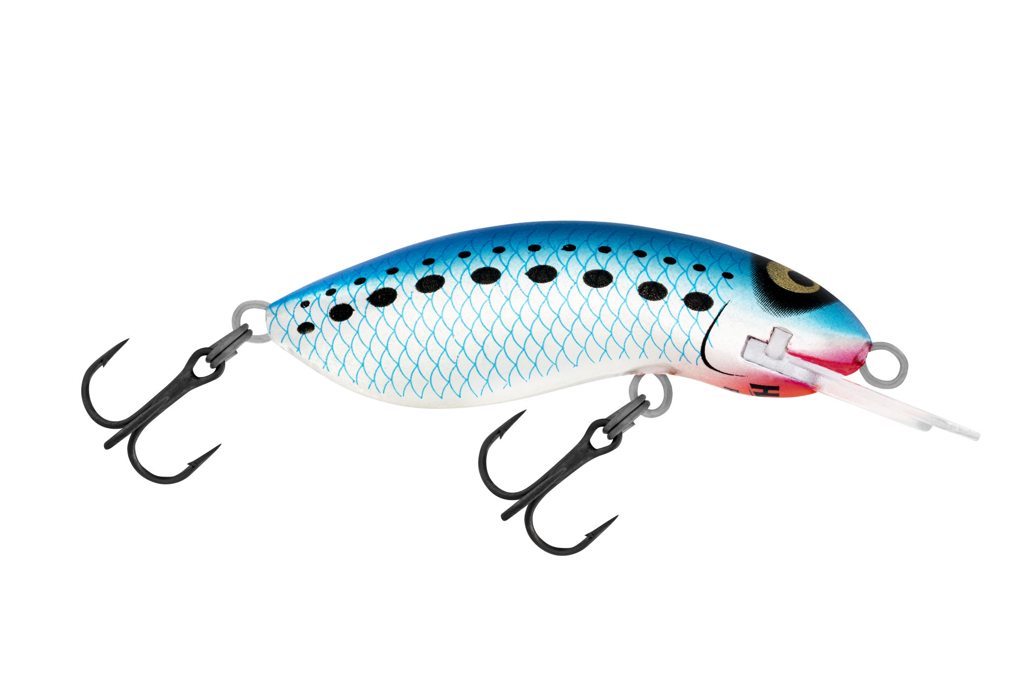 Scorpion 52