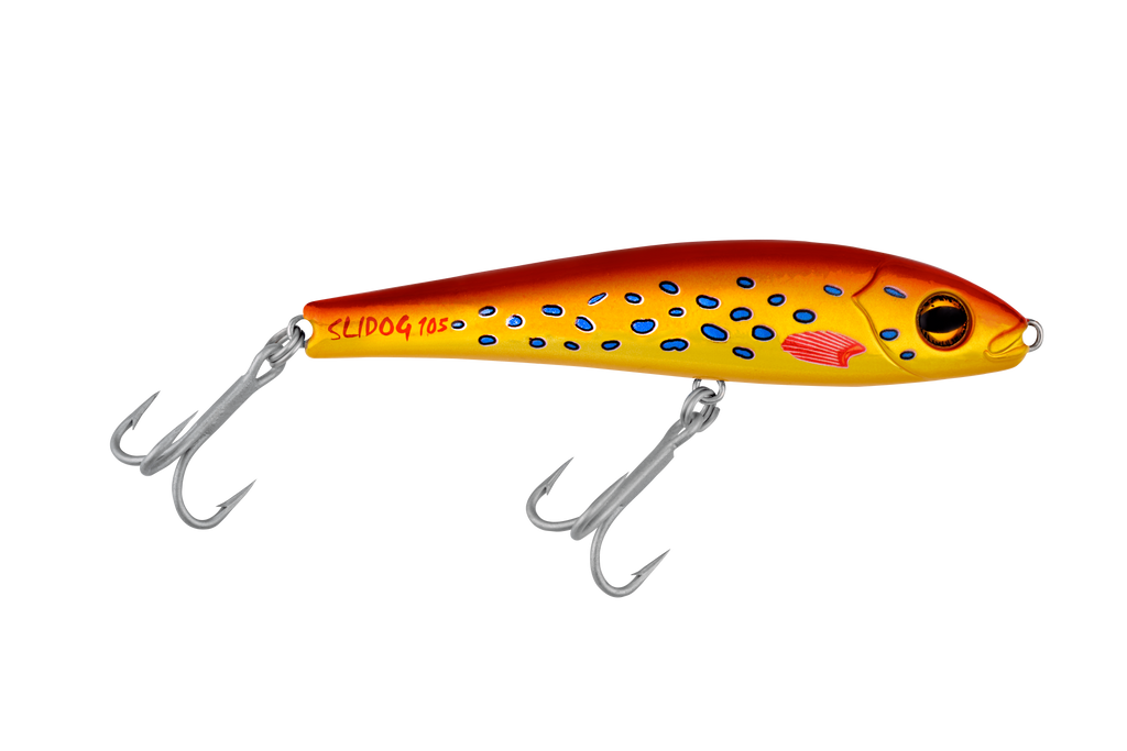 best lures for coral trout Slidog 105 – Halco Lures
