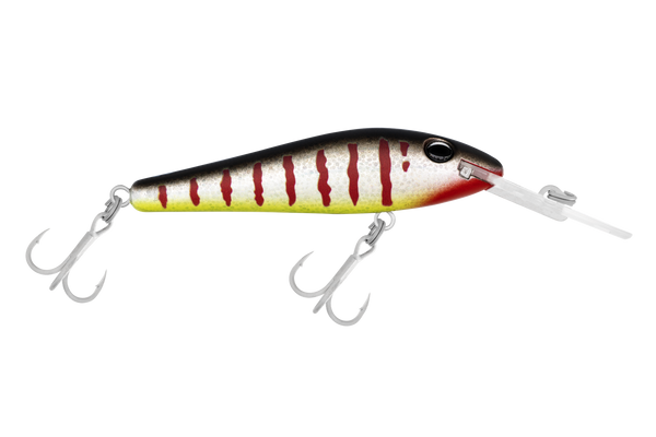 HALCOTBARRAR4_HOOK_grande.png?