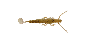 Paddle Prawn 4″