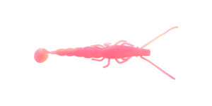 Paddle Prawn 5″