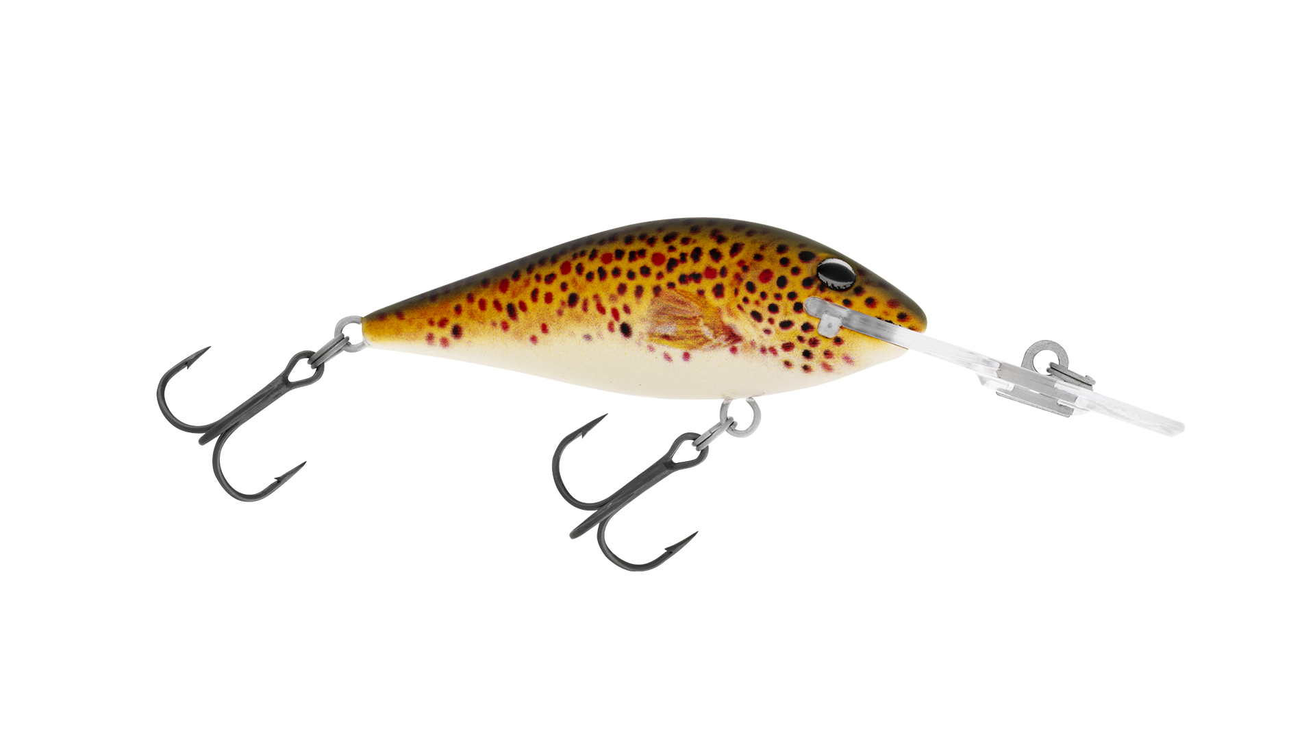 H59 Brown Trout