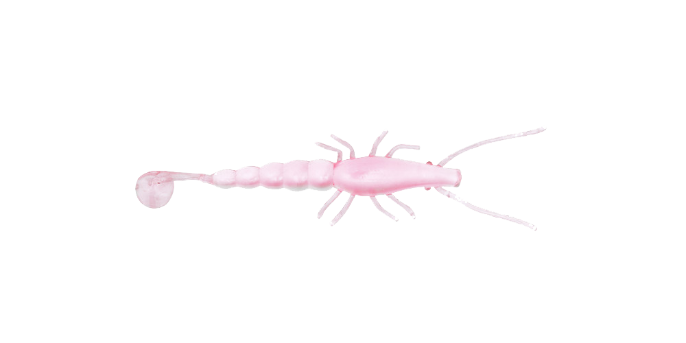 #206 Jelly Prawn